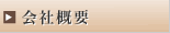 ЊTv