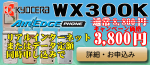 WX300k