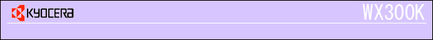 WX300K